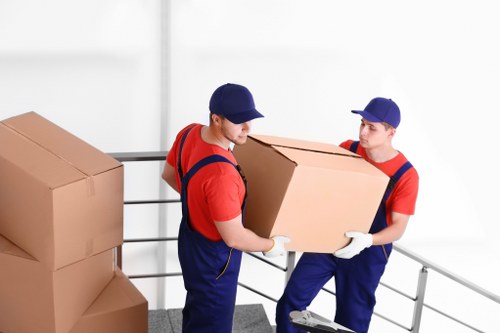 Removal team in Paddington sorting reusable and recyclable moving items