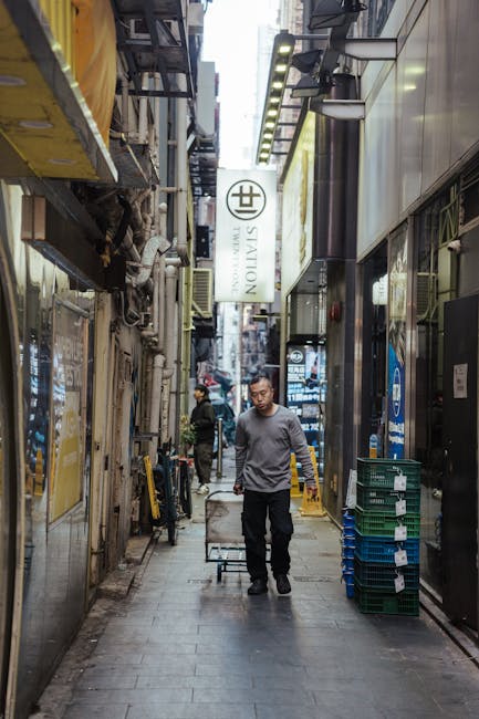 The image shows the ornate archway of Paddington Station with intricate metalwork and glass panels, reflecting the cloudy sky above. Below the arch, there is a white sign with blue text reading 'Paddington Station'. The station's architectural details include decorative elements and a crest at the top of the arch. In the foreground, part of a loading area is visible, with a few cardboard boxes and wrapped furniture suggesting preparations for a home relocation. Sunlight filters through the glass roof structure, illuminating the area where removal and transport activities occur. A removal van may be nearby, associated with Removal Van Paddington, supporting furniture transport and packing services for house moves, particularly in urban narrow-street environments like Norfolk Square. The scene captures a typical logistical setting for moving services, highlighting the station's historic architecture and the ongoing packing and loading process.